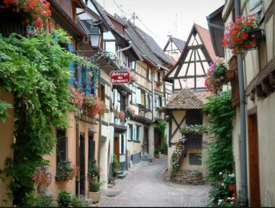 Duplex Saint Lustre, View Over Castle And Storks, 5 Mn From Colmar Егісайм Екстер'єр фото