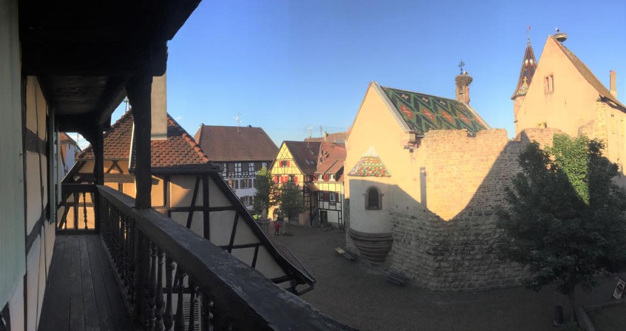 Duplex Saint Lustre, View Over Castle And Storks, 5 Mn From Colmar Егісайм Екстер'єр фото